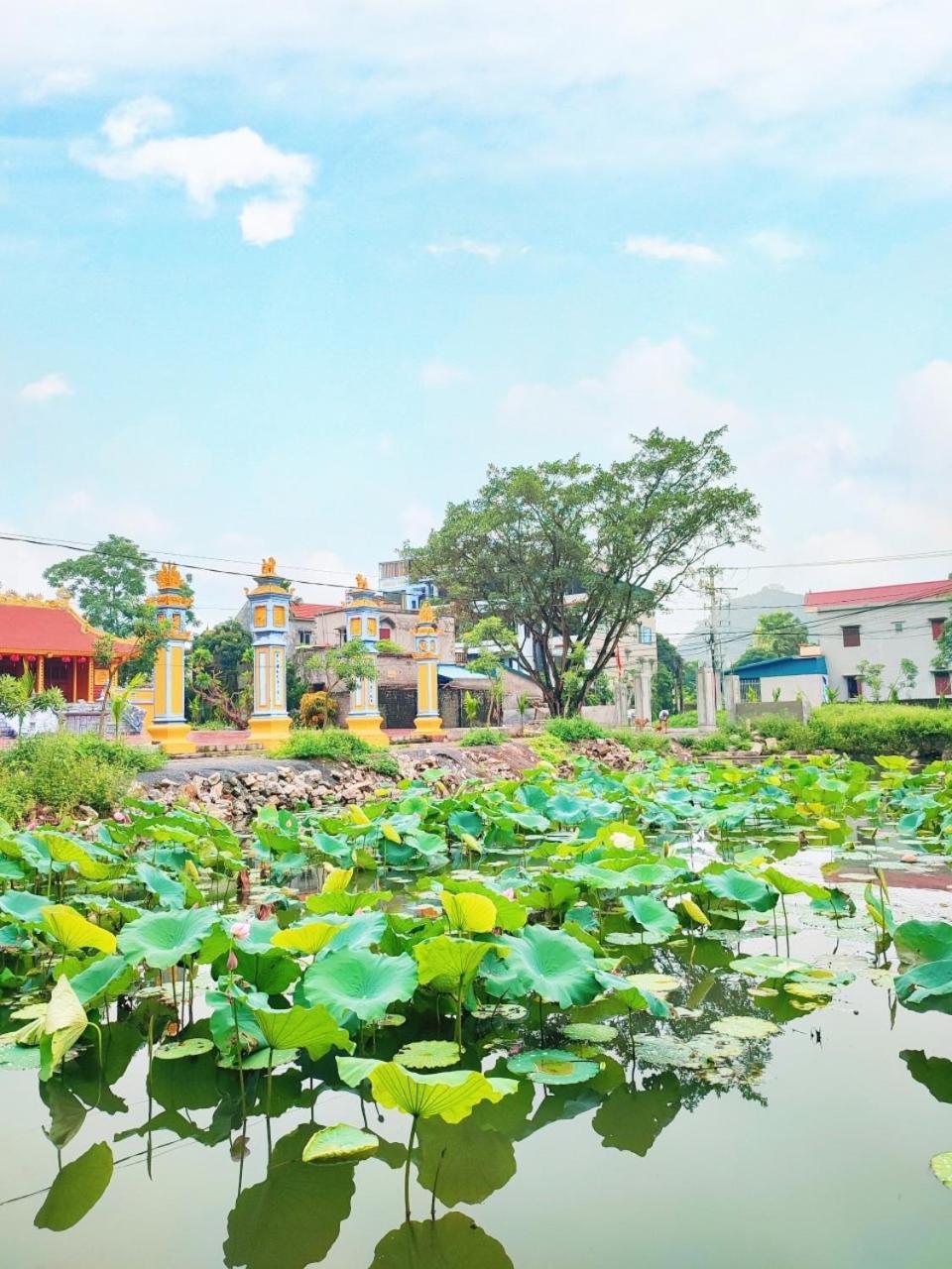 Trang An Natural Mountainside Homestay Ниньбинь Экстерьер фото