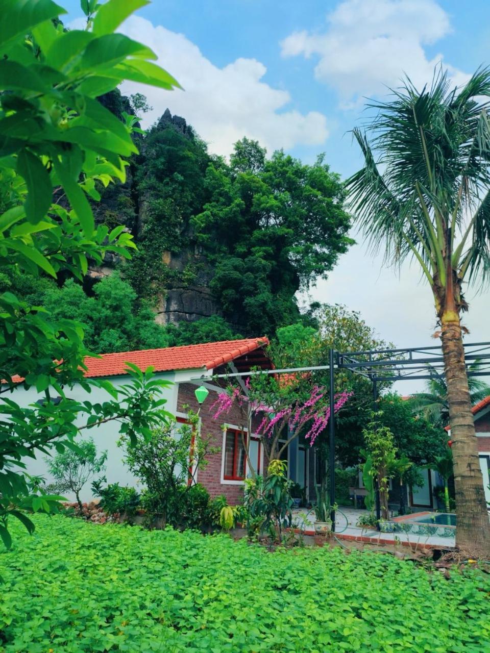 Trang An Natural Mountainside Homestay Ниньбинь Экстерьер фото